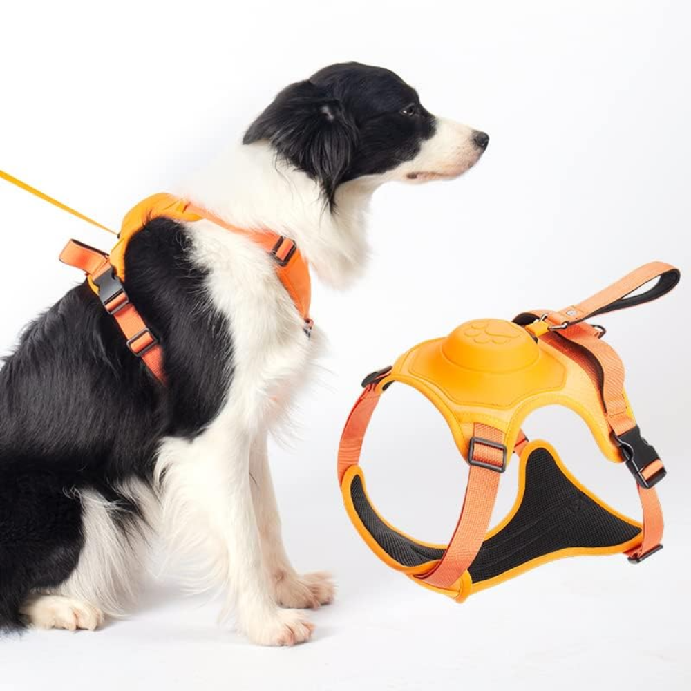 Pettorina e guinzaglio retrattile per cani, 2 in 1, No-Pull, gilet imbottito morbido regolabile