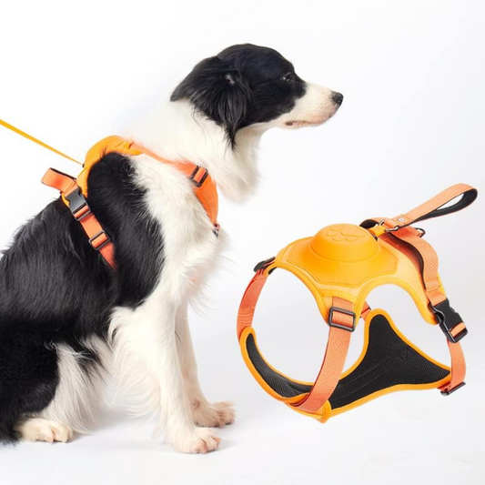 Pettorina e guinzaglio retrattile per cani, 2 in 1, No-Pull, gilet imbottito morbido regolabile